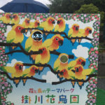 1歳11ヶ月と掛川旅行に行ってきました：掛川花鳥園編