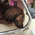 人間工学に基づいた…。