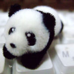 cuzooパンダ。