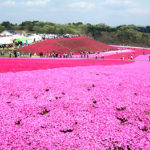 お花ツアーにいってきました。
