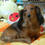 同じ志は持っていない気がするから。