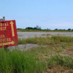 あつあつの沖縄に行ってきました2011：その４。